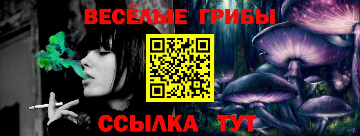 Выкса  Галлюциногенные грибы MAGIC MUSHROOMS  Вход с VPN 