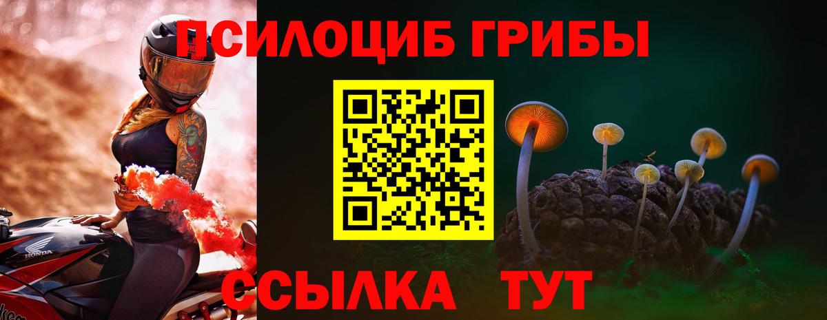Псилоцибиновые грибы Magic Shrooms Выкса